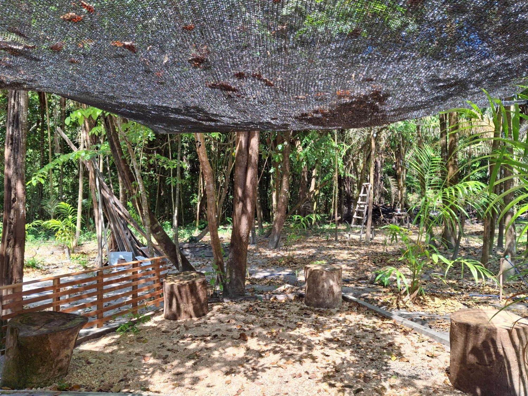 Вилла Casa Da Mata Marajo Салватерра Экстерьер фото